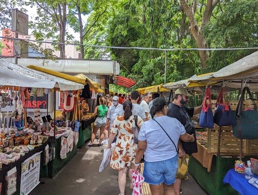Avenida Paulista Market in Brazil on the weekend