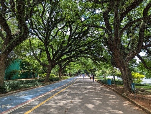 Parque do Ibirapuera, Ibirapuera park in Brazil, São Paulo