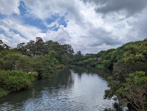 Parque do Ibirapuera, Ibirapuera park in Brazil, São Paulo