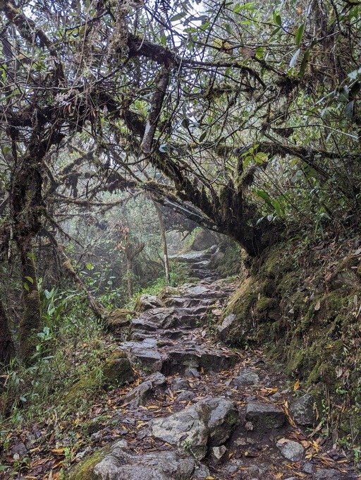 Stairway to top of Machu Picchu Mountain