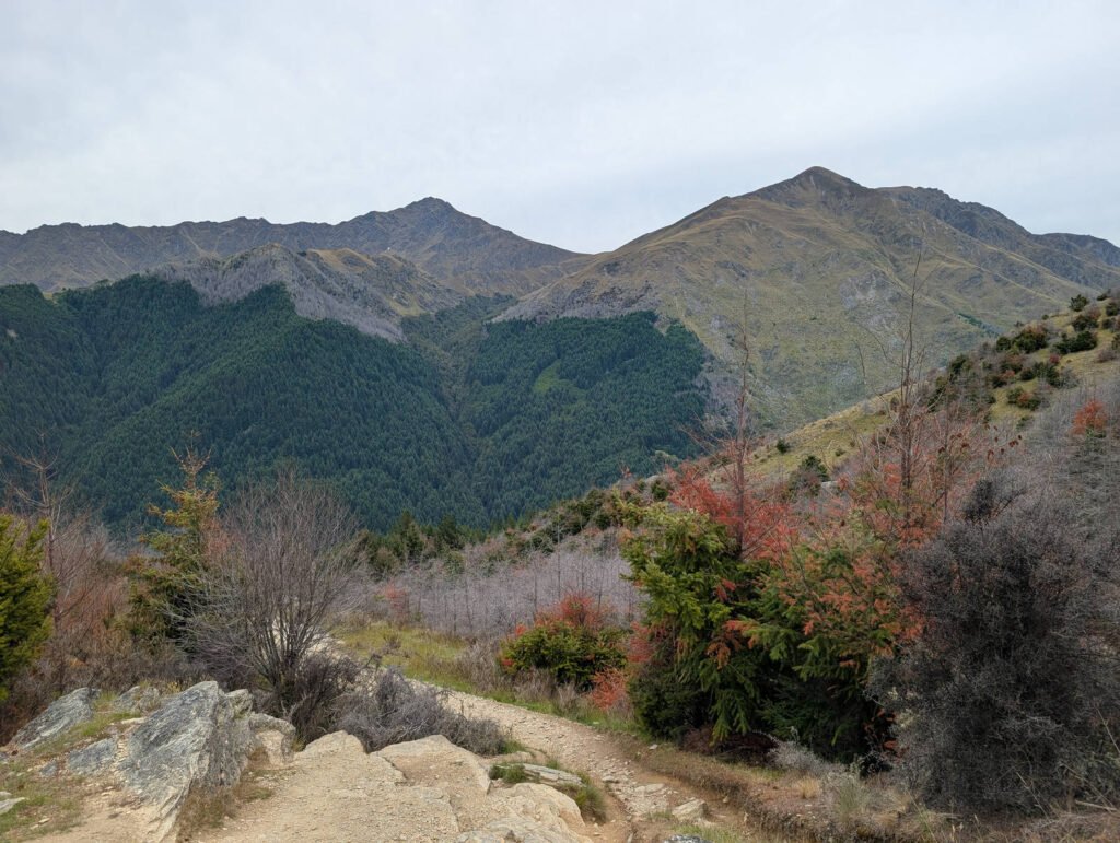 A rocky hiking trail overlooks forested valleys and rolling mountains near Queenstown, with autumn-coloured shrubs adding russet and orange to the muted landscape.